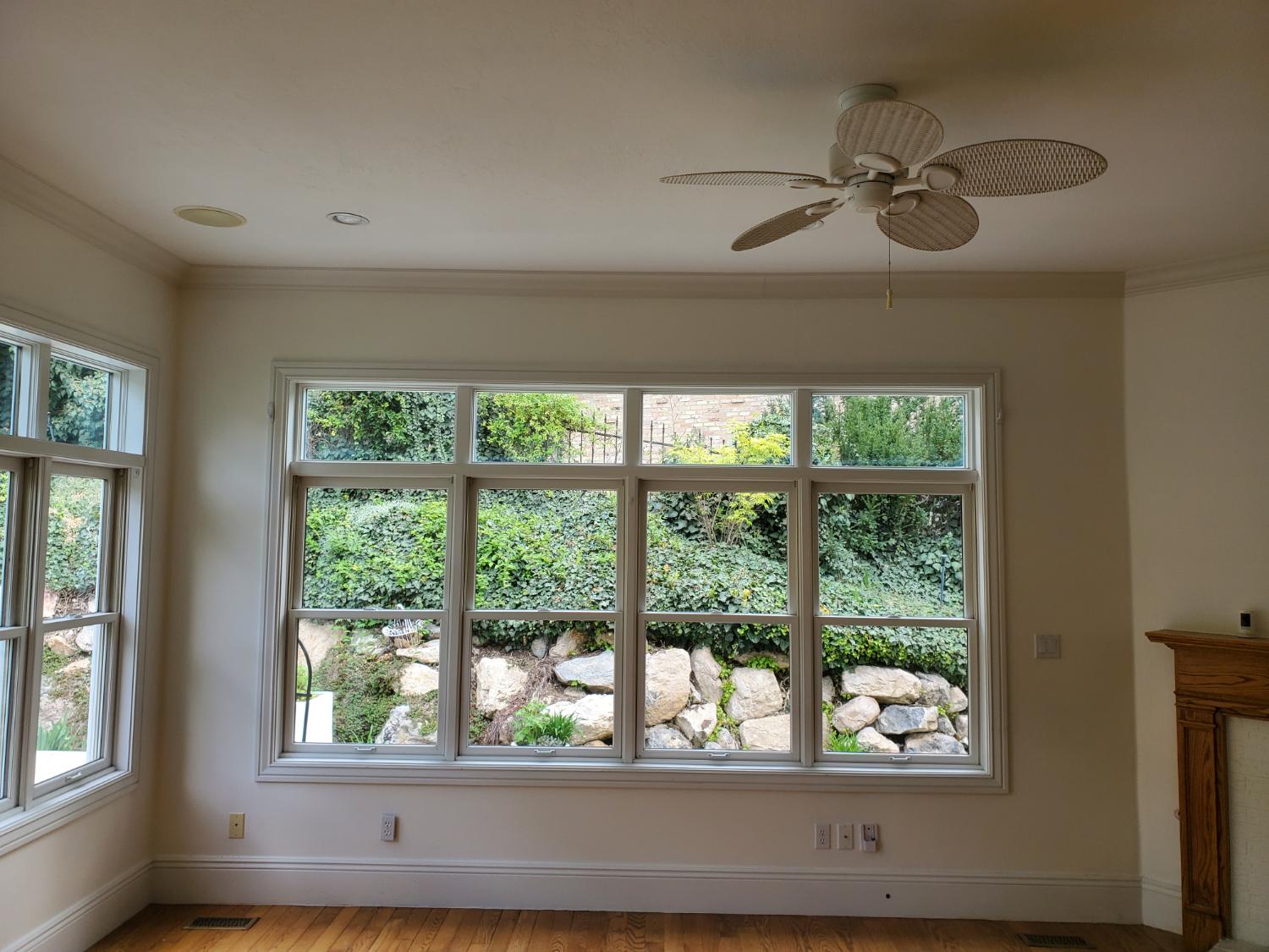 Clean interior windows overlooking garden