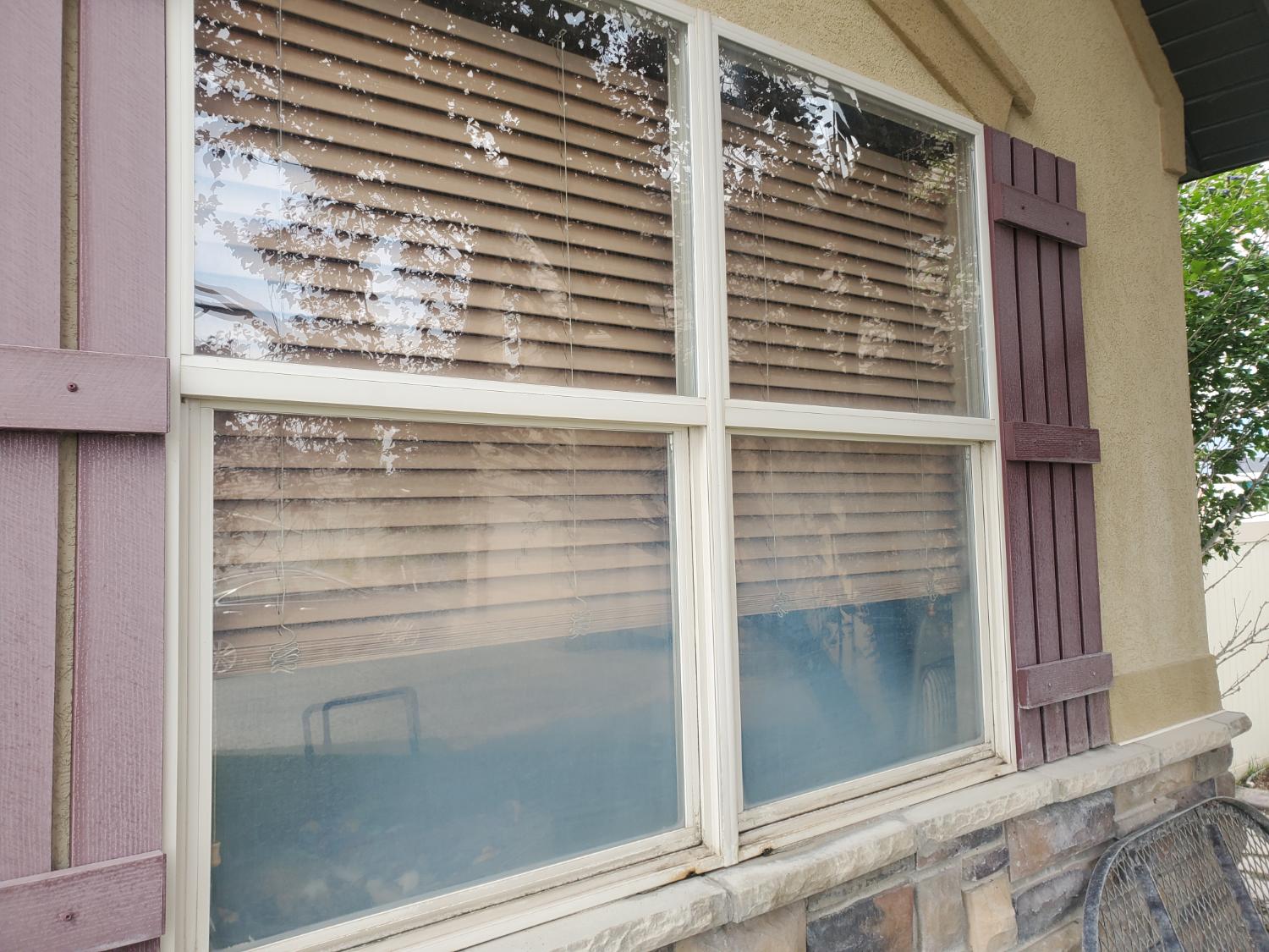 Dirty residential windows