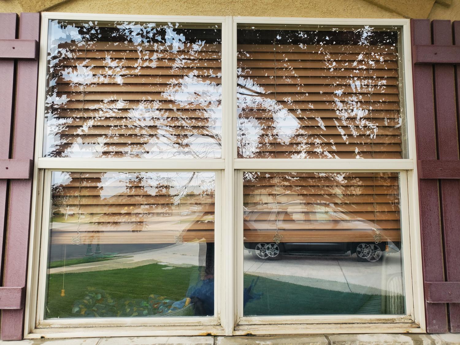 Sparkling clean windows